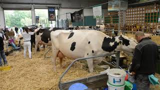 UK Dairy Day at Telford International Centre [upl. by Mahau]