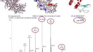 Mass spectrometry for proteomics  part one [upl. by Aikimat940]