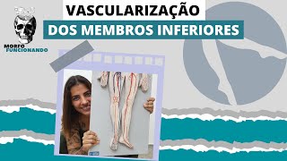 ANATOMIA DAS PRINCIPAIS ARTÉRIAS E VEIAS DOS MEMBROS INFERIORES MMII 8 [upl. by Ahsilla]