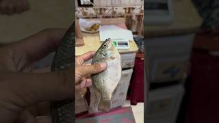 ايه السمكة دي 😳 احمدالسيد اكسبلور ضحك fishing [upl. by Persons163]