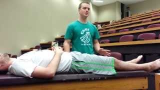 Straight Leg Raise Test Lasègue test for Disc Herniation [upl. by Seidule]