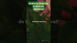 Jardinería Orgánica ¡Cultiva sin Químicos [upl. by Tewell]