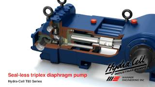 HydraCell T80 Series PackingFree Triplex Pumps [upl. by Scammon]