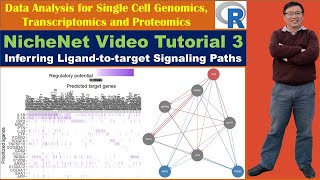 NicheNet Video Tutorial 3 Inferring Ligandtotarget Signaling Paths [upl. by Hortense]