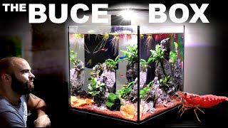 The Buce Box ALL IN ONE Shrimp Cube Aquarium [upl. by Aicilav]