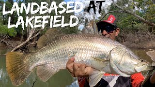 Landbased Lure Fishing Lakefield National Park for Barramundi in Winter  Cape York [upl. by Esdnil]