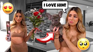 SURPRISING MY GIRLFRIEND WITH A CUTE PUPPY ON VALENTINES DAY 🐶💕🤞🏽 She Started Crying [upl. by Chadabe]