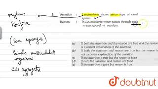 Assertion  Leucosolenia shows ascon type of canal system [upl. by Ecnaret]