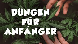 Wie man organisch düngt  für Anfänger [upl. by Luane767]