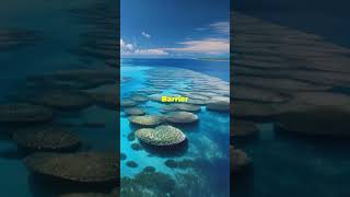 Dive into the Oceans Mysteries facts nature world [upl. by Beal]