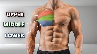 Complete Bodyweight Chest Workout for Muscle Growth [upl. by Lyndy]