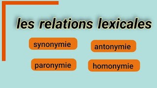 les relations lexicales synonymie antonymie  paronymie  homonymie [upl. by Fitzhugh]