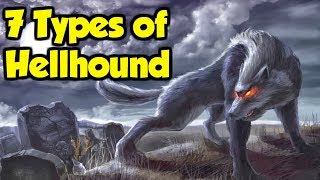 What Are Hellhounds  7 Types of Hellhound From Great Britain amp The Rest of Europe [upl. by Rist]