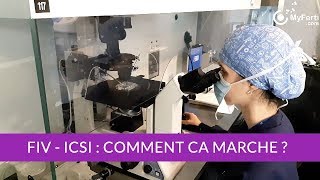 FIV ICSI en laboratoire PMA Comment ça marche [upl. by Enytsirhc]