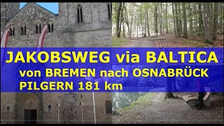 pilgern JAKOBSWEG via BALTICA von BREMEN nach OSNABRÜCK 2021 👣 Camino de Santiago l wandern 181 km [upl. by Ynhoj649]