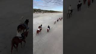 Horse riding on the beach beach horse ocean northmyrtlebeach [upl. by Ylremik]