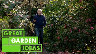 Garden Walkaround  Elegans GARDEN  Great Home Ideas [upl. by Christa101]