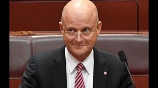 GUN LAWS Check out our interview with progun legend David Leyonhjelm [upl. by Maureene25]