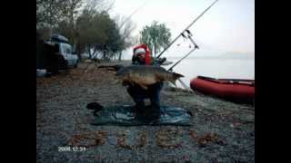 Winter carp 2006 dec Rio Ebro part1 [upl. by Mcclees86]