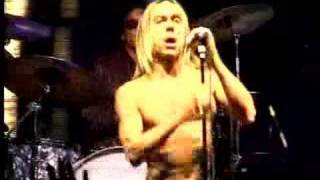 IGGY amp THE STOOGES LIVE IN BERLIN 2004 [upl. by Mesics911]