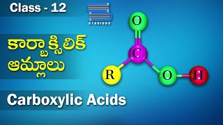 కార్బాక్సిలిక్ ఆమ్లాలు – Carboxylic Acids  Carbonyl Compounds  Chemistry Telugu  Class 12 Telugu [upl. by Chafee]