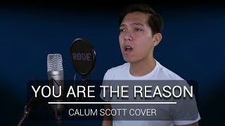 You Are The Reason  Calum Scott COVER [upl. by Edgell463]