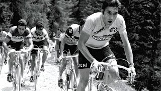 Eddy MERCKX  De Mooiste Momenten [upl. by Brena]