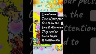 🐈🐱🦎🐍🦀🕊️🐀🐒🎠Whiskers amp Tails Daily Insights 🐈🐱🦎🐍🦀🕊️🐀🐒🎠 petpsychic pet pets fyp [upl. by Roeser]