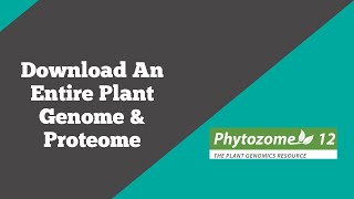 Bioinformatics Download an entire plant genome amp Proteome final  Phytozome  BioCode Ltd [upl. by Iaht]