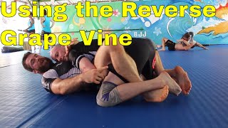 Effective Butterfly Guard Sweep for BJJ White Belts From Full Guard [upl. by Roque]