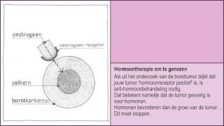 Nabehandeling Hormoontherapie  Wat zijn hormonen 12 [upl. by Trammel]