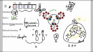 Hybridization Lecture [upl. by Ymmac]