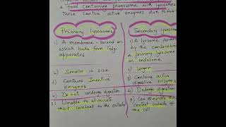 Primary and Secondary Lysosomes lysosomes neet [upl. by Amadas]