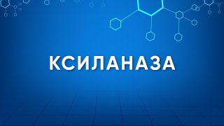 Ксиланаза Xylanase Назначение Производство Применение Энзимология в деталях [upl. by Stanford]