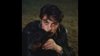 ALAIN DELON kedvenc állatai képekben  Delons pets in pictures [upl. by Willdon]