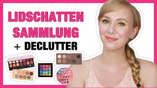 Lidschatten Sammlung  Declutter  Paletten und Singles [upl. by Noxas]