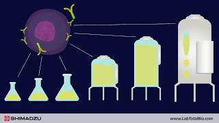 BIO PHARMA Total Lab [upl. by Worden]