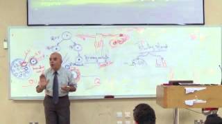 embryologydrgamal 3rd lecture [upl. by Ellenwahs168]