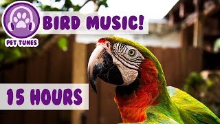 15 hours How To Calm A Parrot New Relaxing Music Has Helped Over 4 Million Pets  Pet Therapy [upl. by Ardeahp]