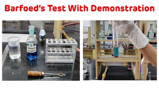 Barofoeds Test With Demonstration  Barfoeds Test For Carbohydrates [upl. by Lladnarc592]