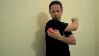 Teres Major Self Myofascial Release  Mike Reinold [upl. by Hiroshi711]