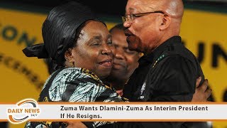 Zuma Wants DlaminiZuma As Interim President If He Resigns [upl. by Refenej227]