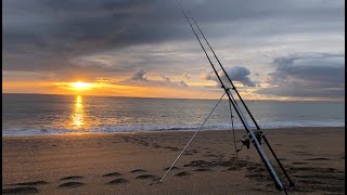 Shore Fishing For Cod  Beach Fishing Cornwall [upl. by Kurt958]