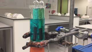 Electrolysis of an Aqueous Solution [upl. by Skye388]