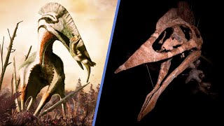 Meet Dracula  The Largest Pterosaur That Ever Flew  BoneHeads in Germany Part 2 [upl. by Connors838]