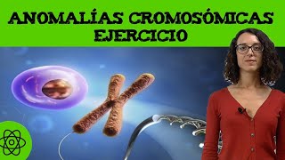 Ejercicio de anomalías cromosómicas 🧬 translocación I [upl. by Gabel]