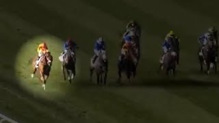 Top 5 Best Battles  Racing at Meydan Domestic Season 2018  2019 [upl. by Eisse]