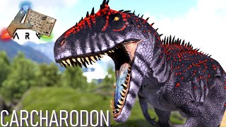 CARCHARODONTOSAURUS  TAMINGPIÈGECAPACITÉS Dino Dossier 📖 [upl. by Howlend]