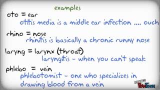 Medical Terminology the easy way [upl. by Su]