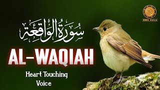 Surah AlWaqiah Full  Surah Waqiah Ki Tilawat سورة الواقعة Surah Waqiah Best Recitation HMAVOICE [upl. by Janicki436]